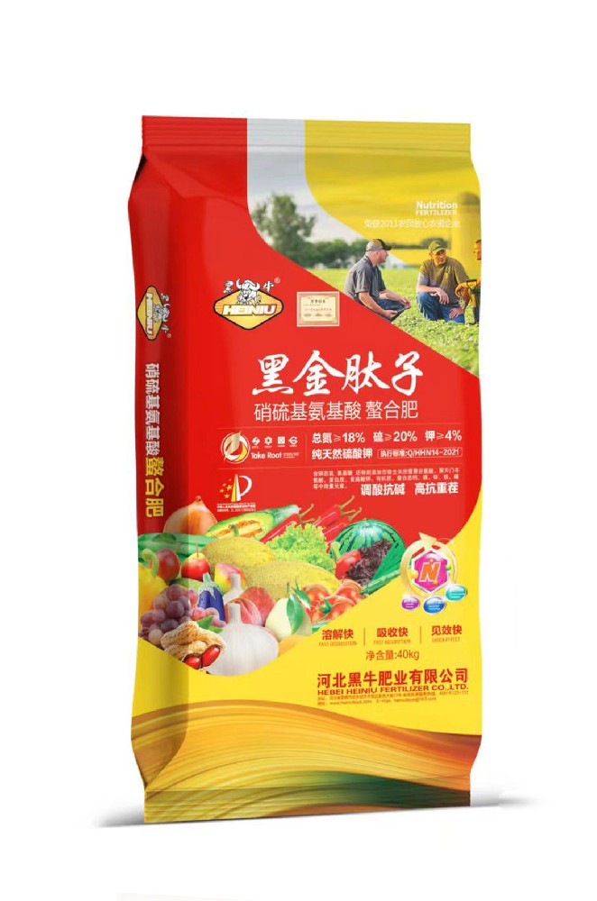 黑金肽子